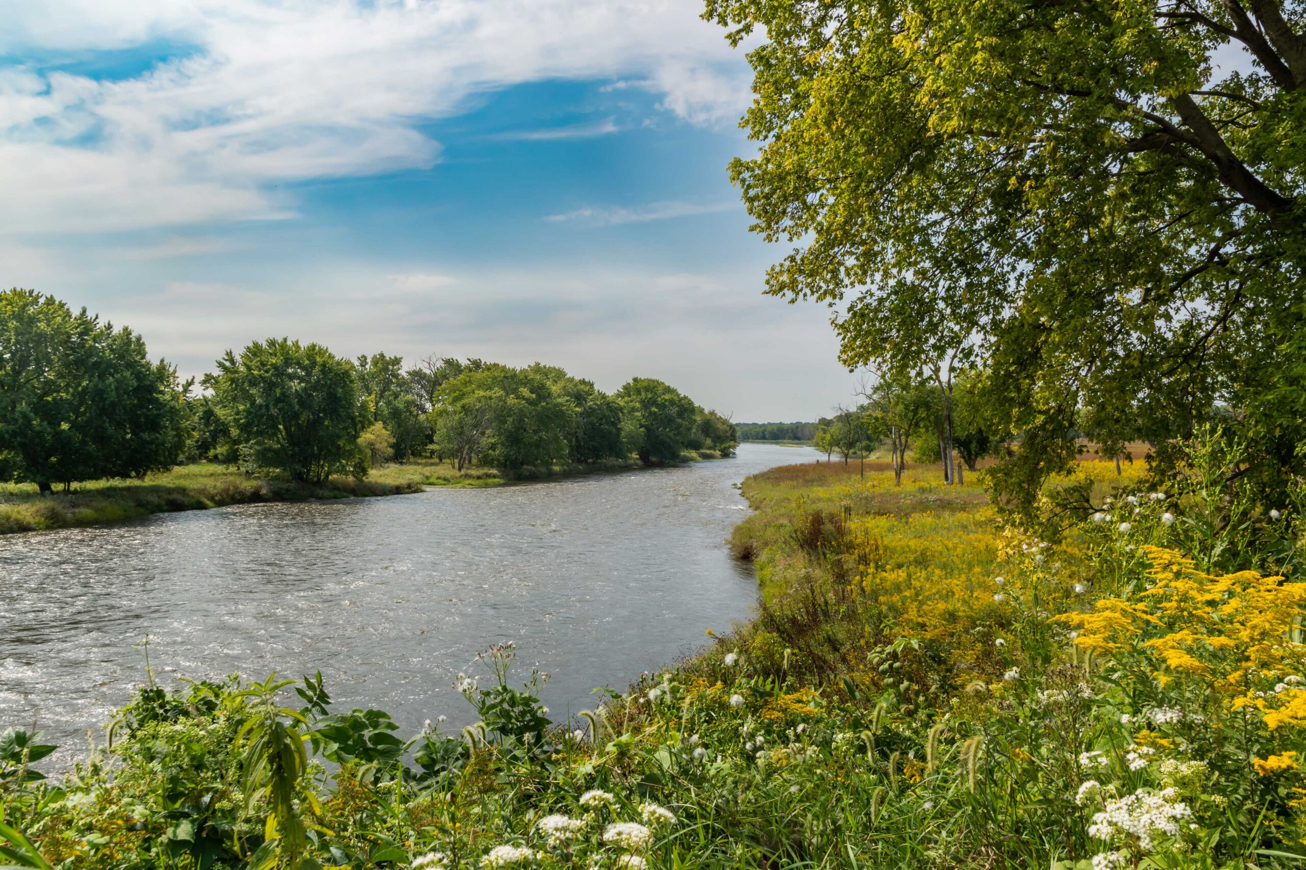 Will County, IL